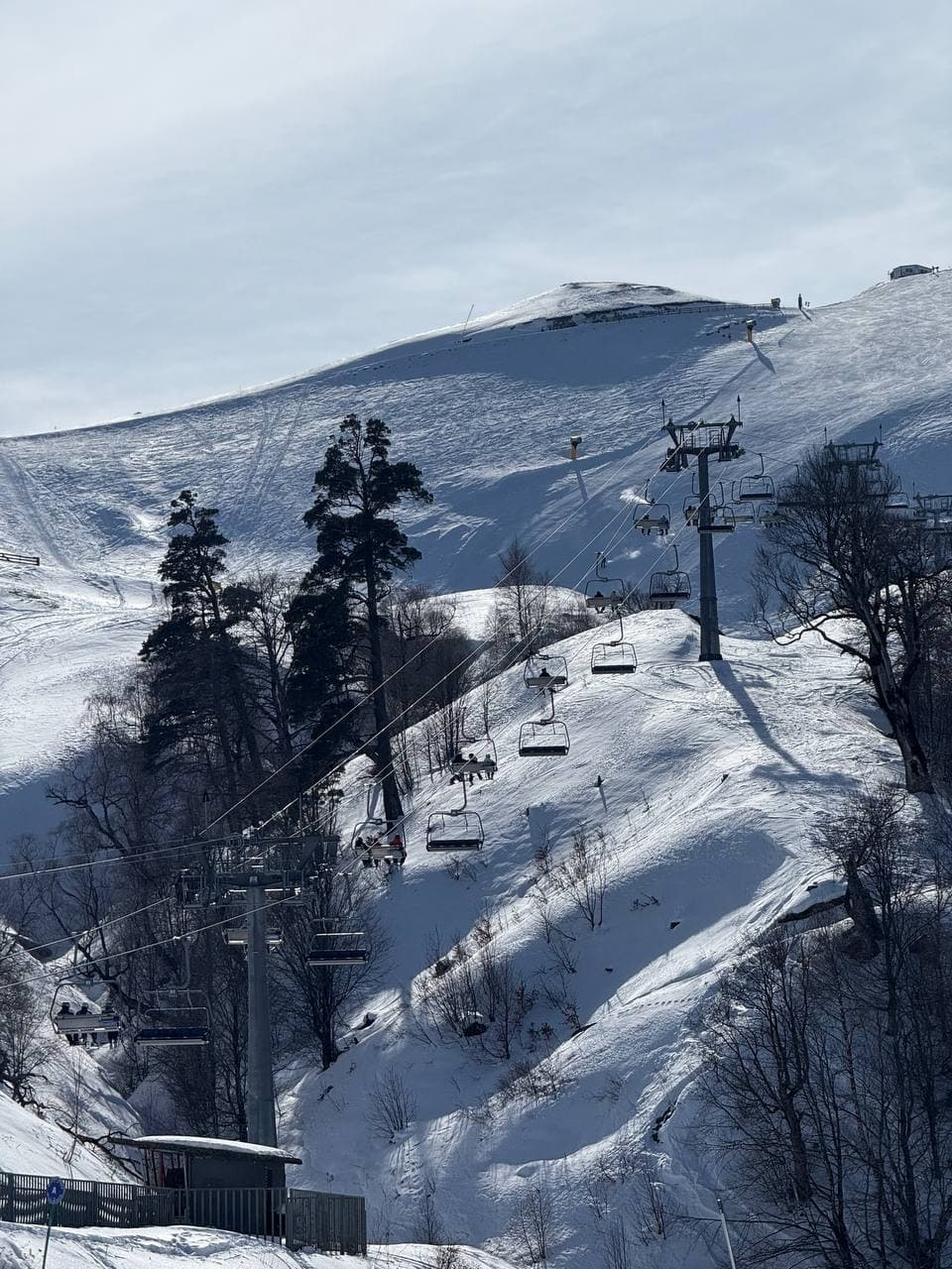 Фото галереи экскурсии