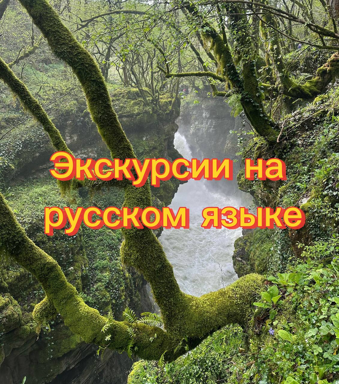 Эĸсĸурсии из Батуми на руссĸом, мартвили каньон